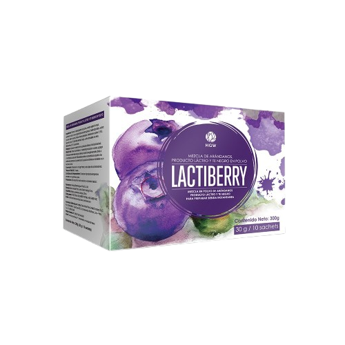 LACTIBERRY (BEBIDA NUTRITIVA)